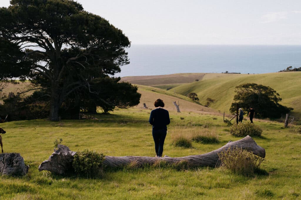 A landscape photo of rolling hills with an ocean and the sky in the distance. There is a large tree on the left and a person dressed in black is walking into the distance in the middle.