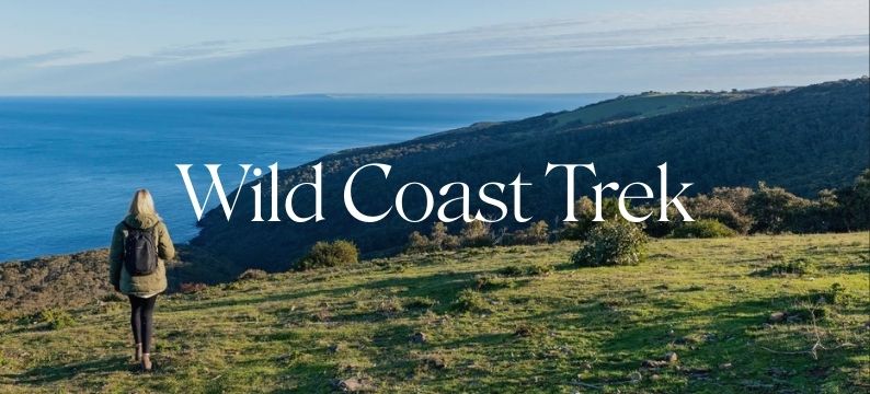 wild coast trek banner