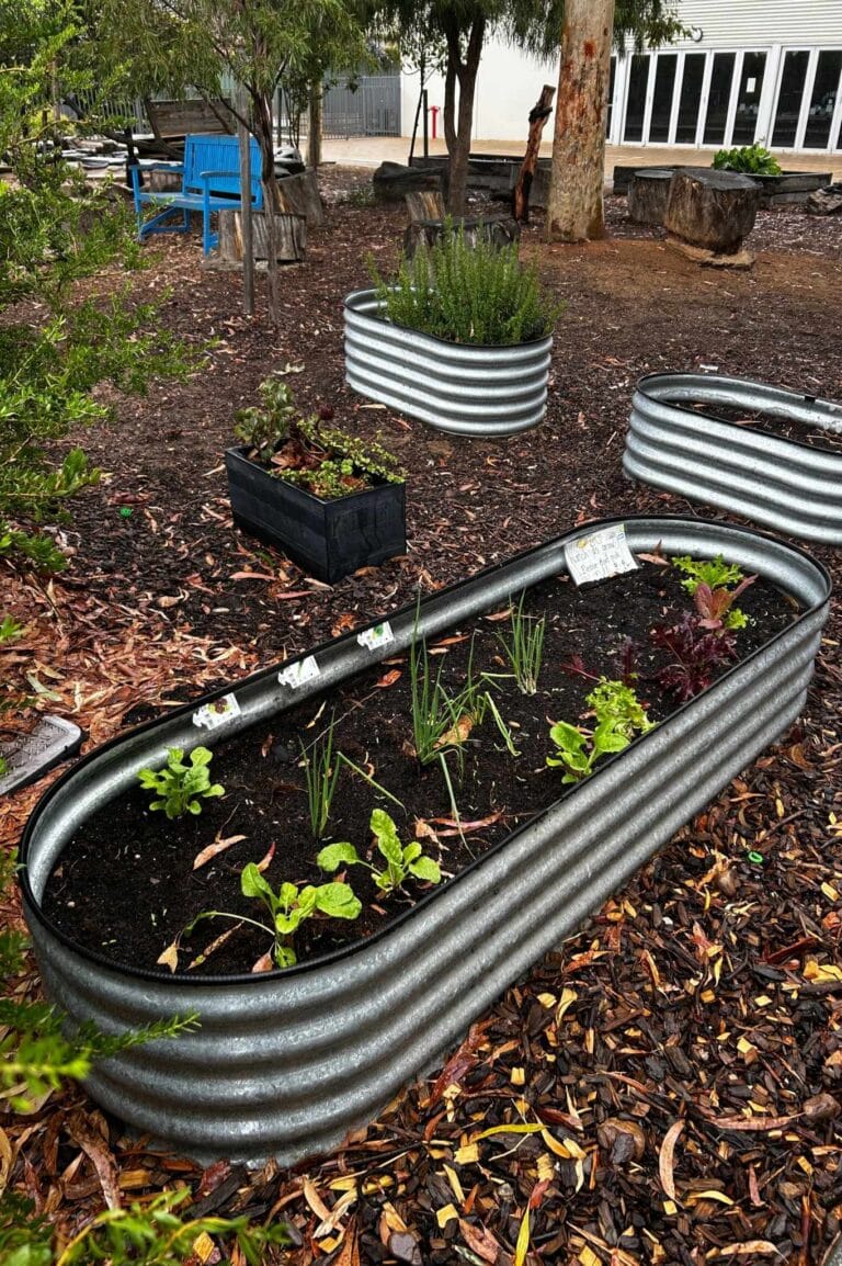 raised garden beds