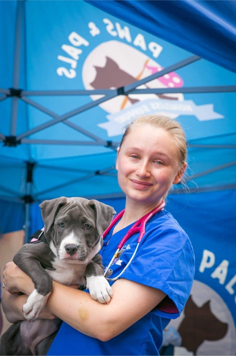a veterinarian holds a puppy in front of a blue wall